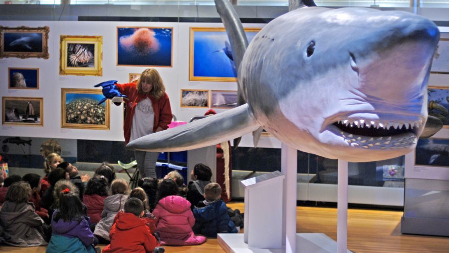 La exposición es idónea para entornos educativos y un público familiar.