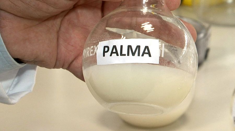 Palma
