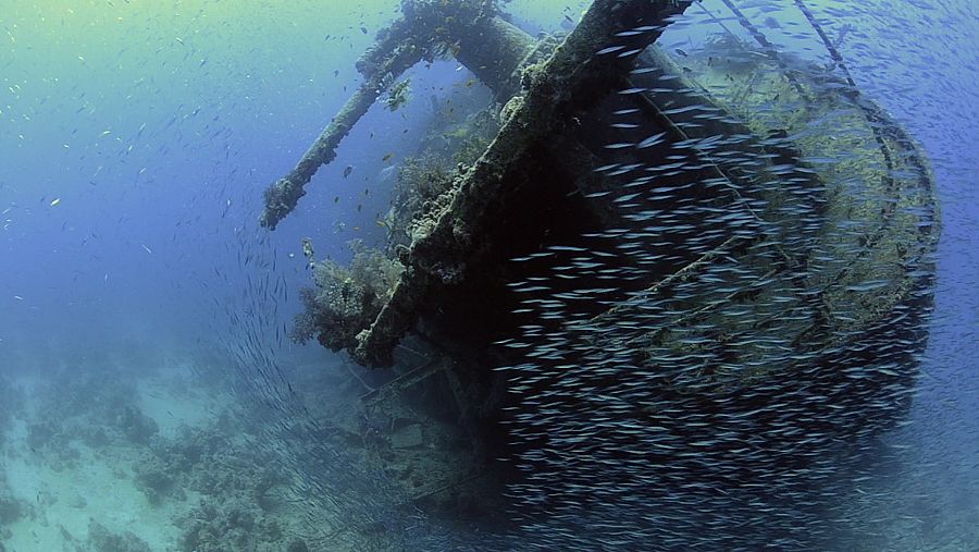 Barco hundido