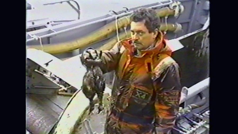 desastre ecologico del Exxon Valdez