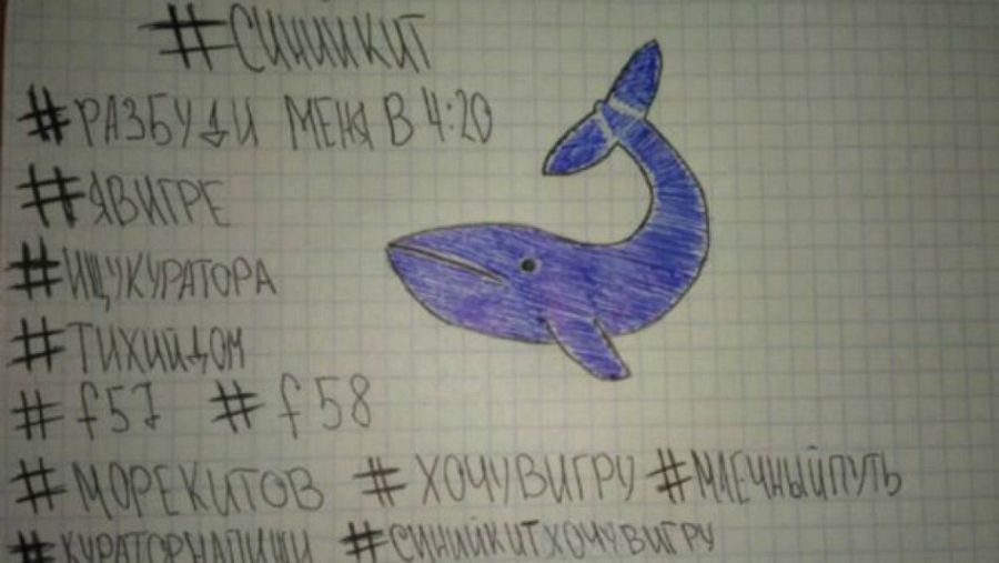 La ballena azul, un "juego" que acaba en suicidio