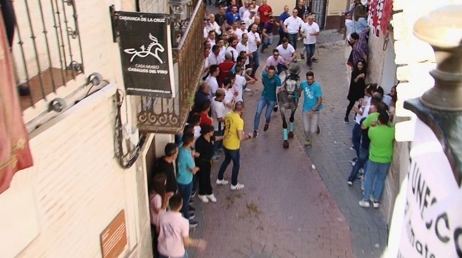 Sesenta caballos recorren, en menos de ocho segundos, la cuesta hacia el castillo de Caravaca de la Cruz bajo la mirada de más de 150.000 personas.