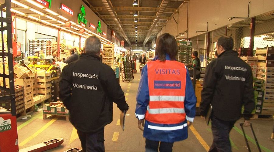 COMANDO ACTUALIDAD