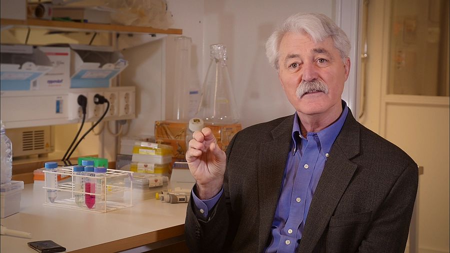 El científico endocrino, Thomas Zoeller