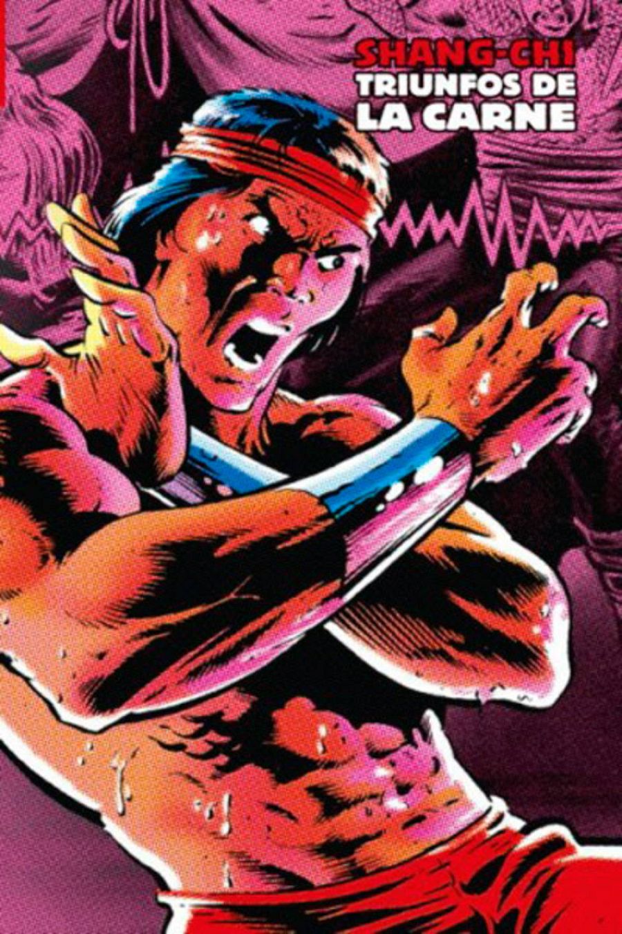 Portada de 'Shang-Chi: Triunfos de la carne'