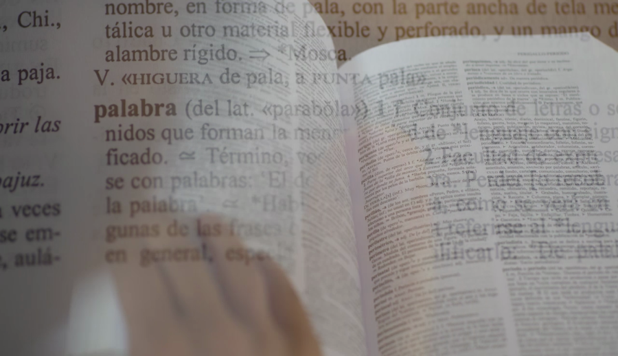 Definición de "Palabra" en el diccionario de María Moliner