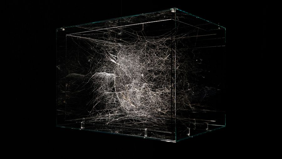 tomas saraceno mas que humanas