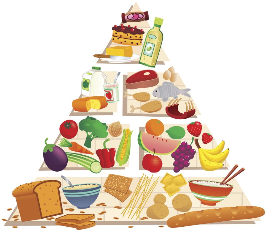 Pirámide alimenticia