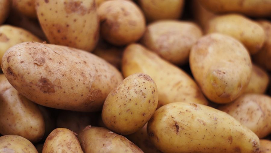 Patatas