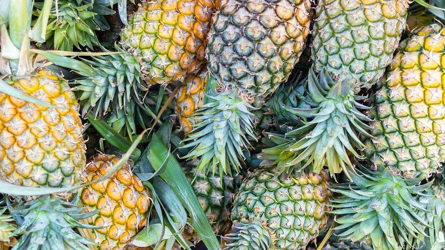 Piñas
