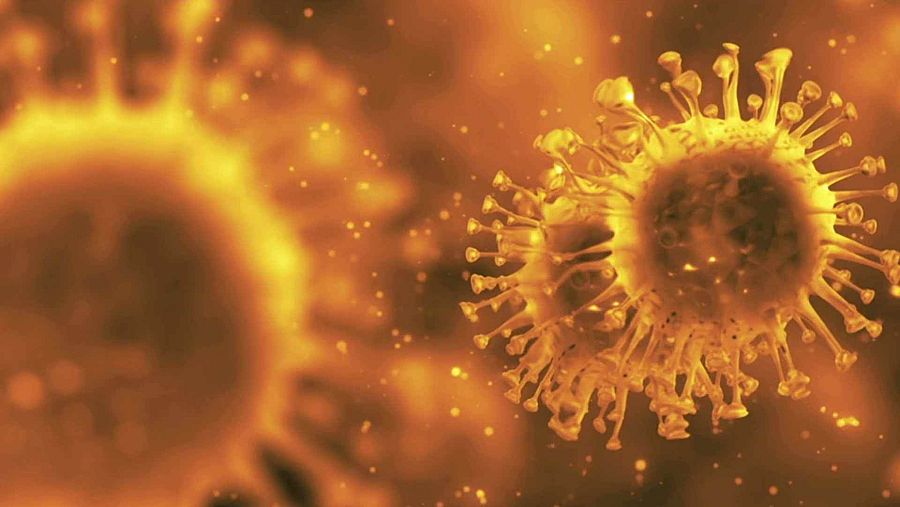 Fotograma del capítulo "Pandemia total" de Neverfilms
