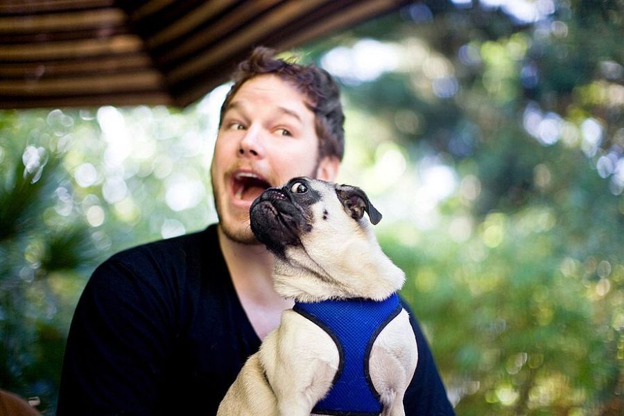 Chris Pratt