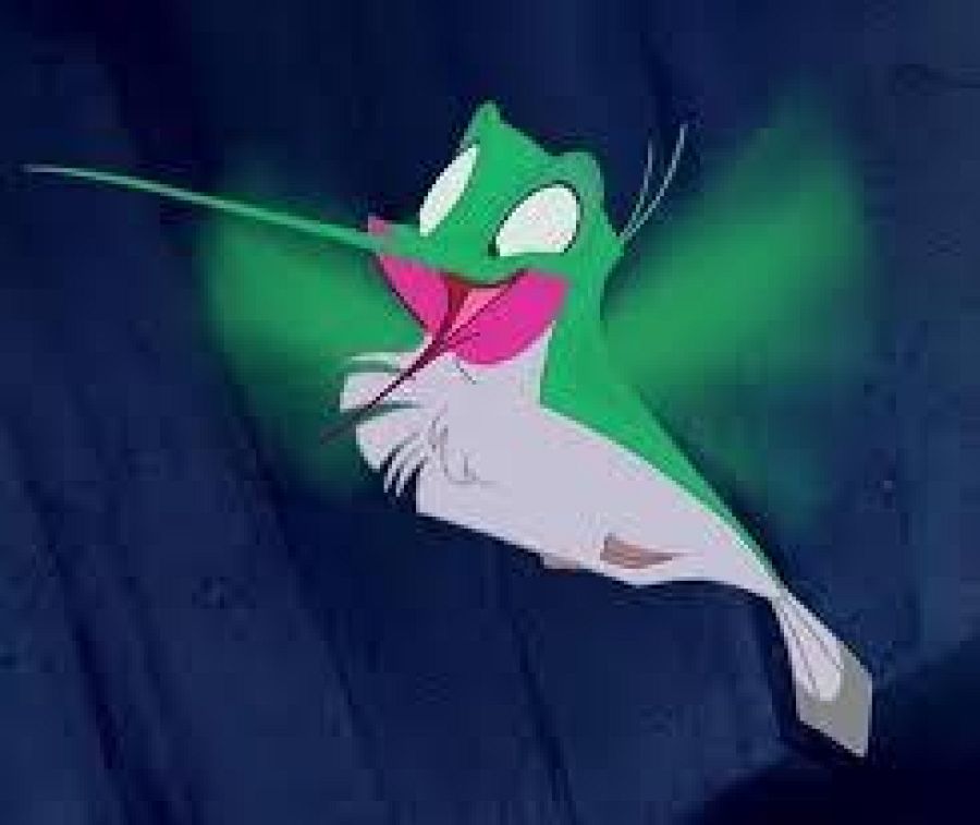 Foto de Flip, el colibrí de Pocahontas