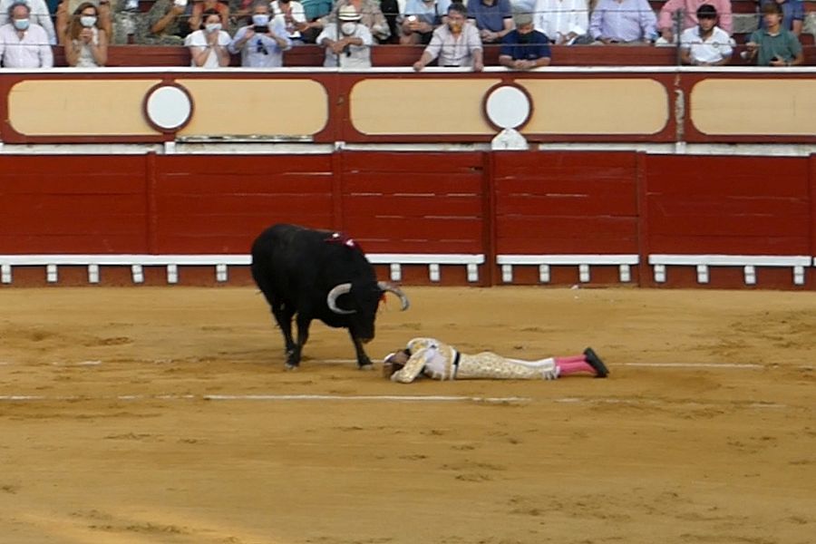 Enrique Ponce sufre una cogida en El Puerto de Santa María
