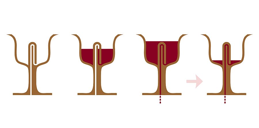 Copa pitagórica