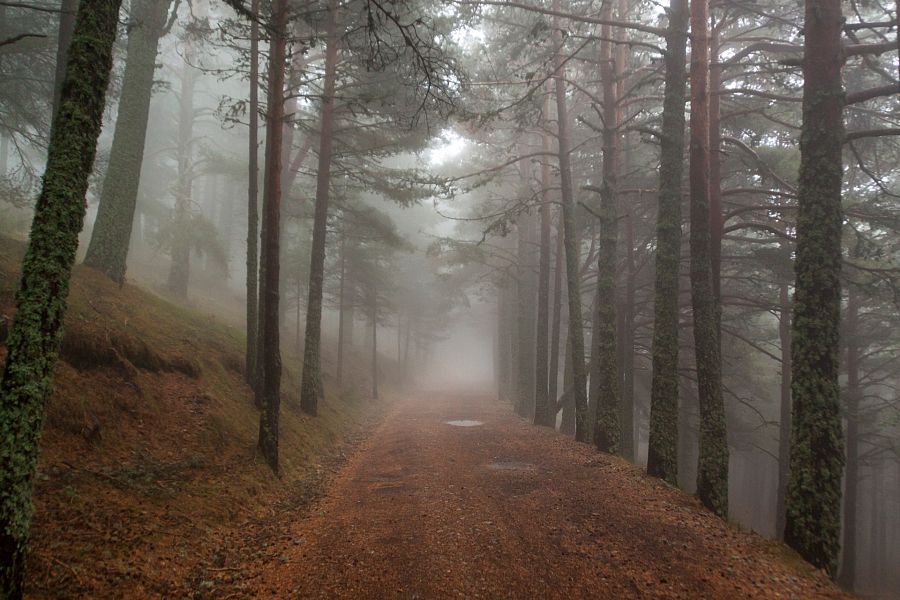 ¿Cómo se forma la niebla?