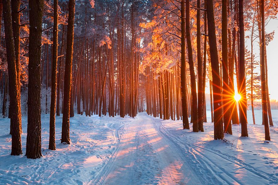 ¿Por qué es blanca la nieve?