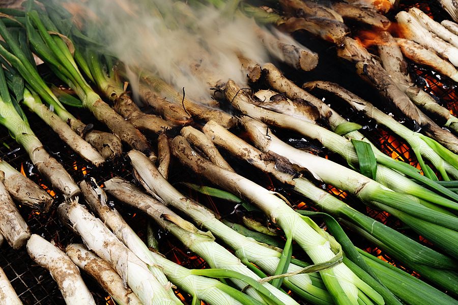 Cultivamos calçots