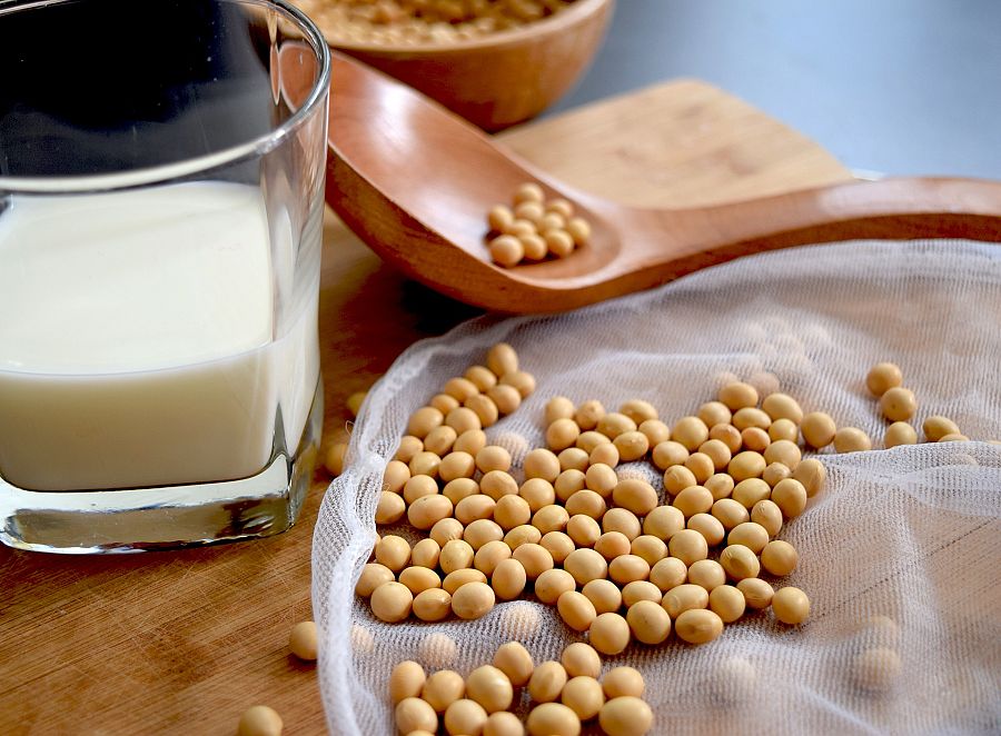 Leche de soja