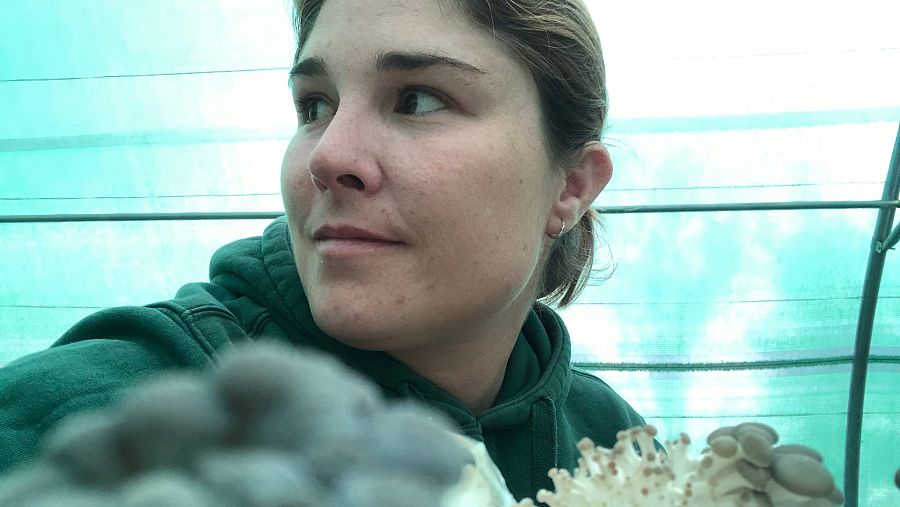 Nazaret Mateos trabajando dentro de su invernadero de setas.