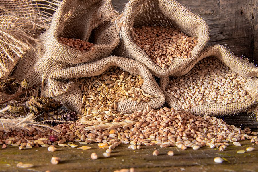 Sacos de distintos cereales: avena, trigo...