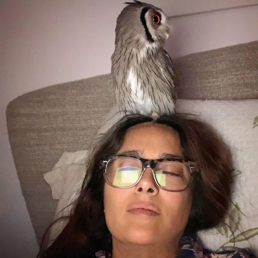 Salma Hayek y su búho Kering