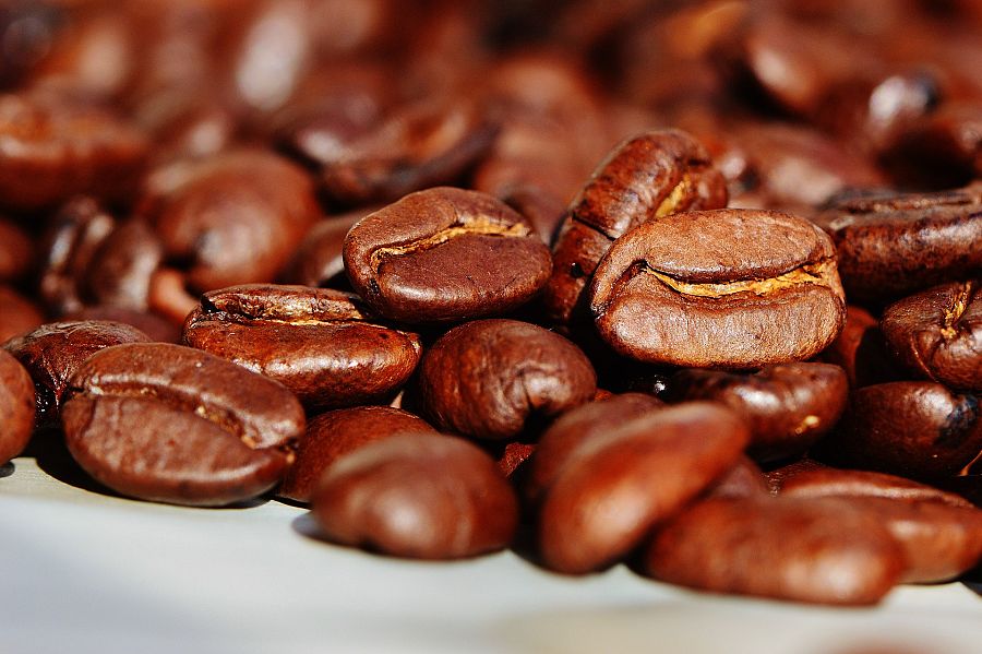Semillas de café