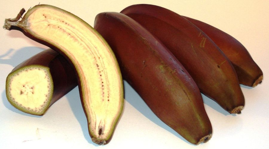 Sección longitudinal de un plátano rojo
