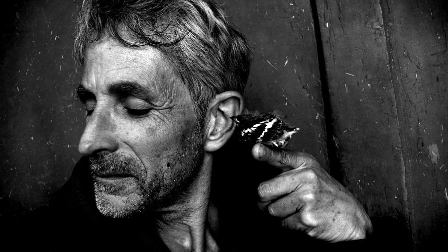 Abu Ali, Toni Serra