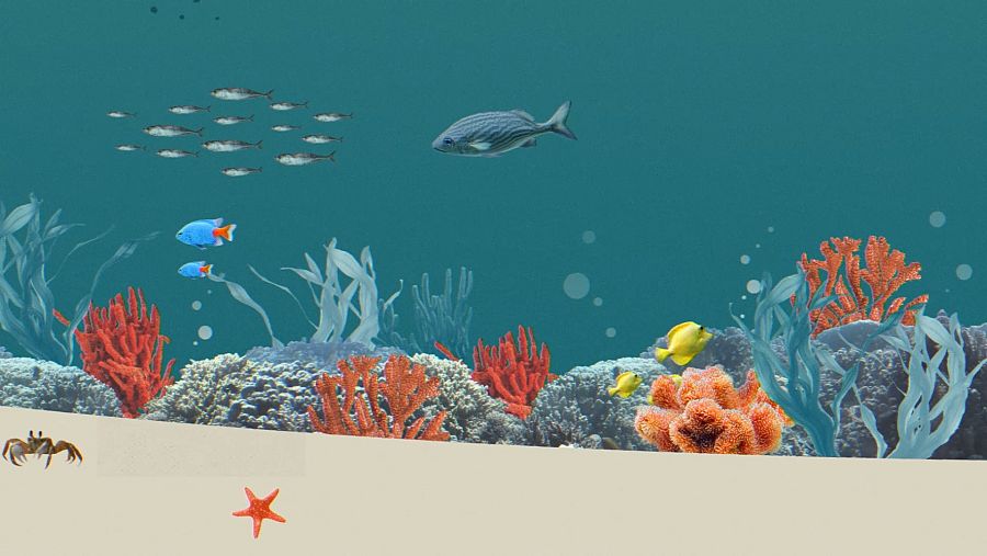¿Por qué nos debe preocupar la pérdida de coral?