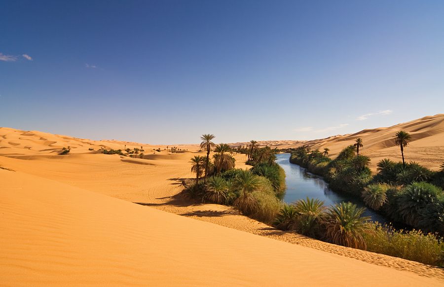 Oasis de Mandara