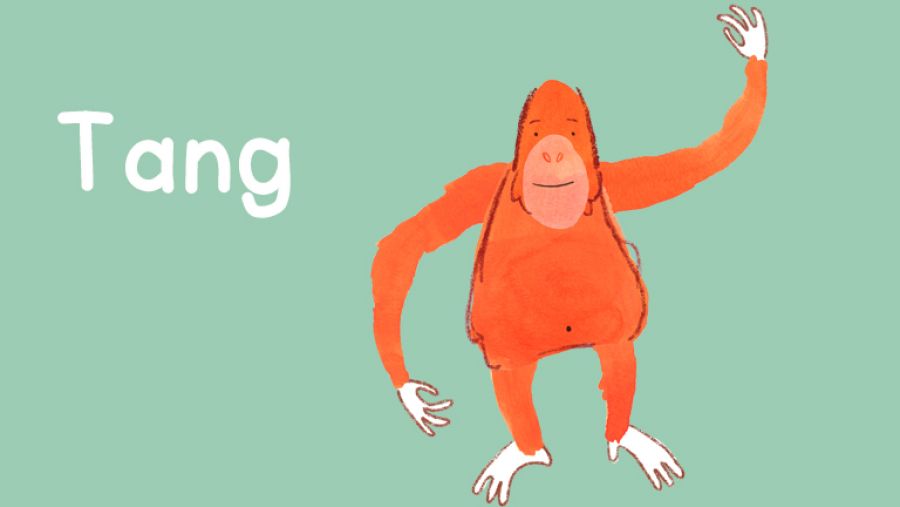 ¿Quién es Pablo? 5