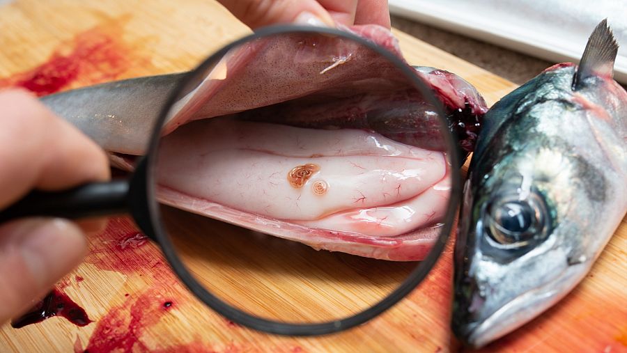Anisakis: Así se detecta y elimina del pescado