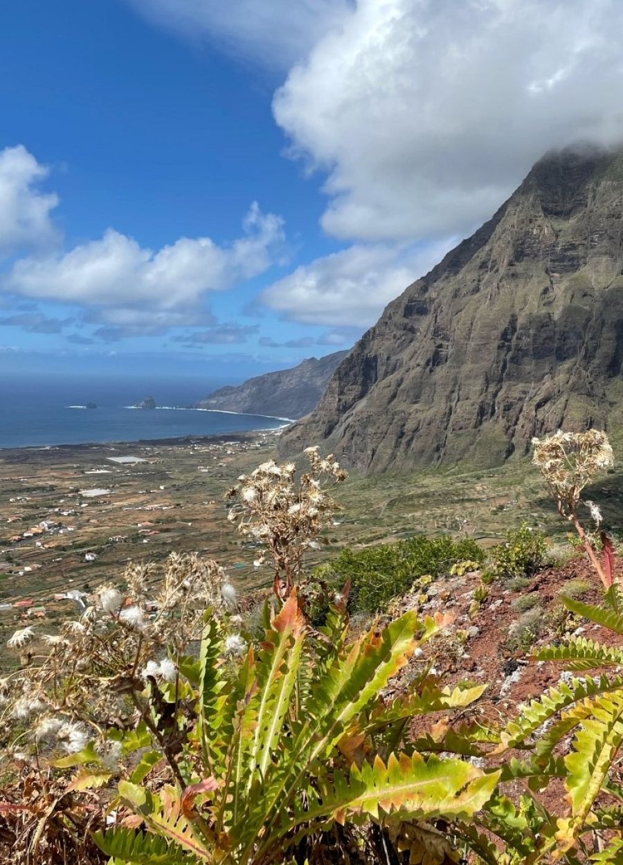 El Hierro: agua, viento y tierra