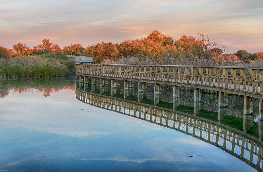 Parque Nacional Tablas de Daimiel