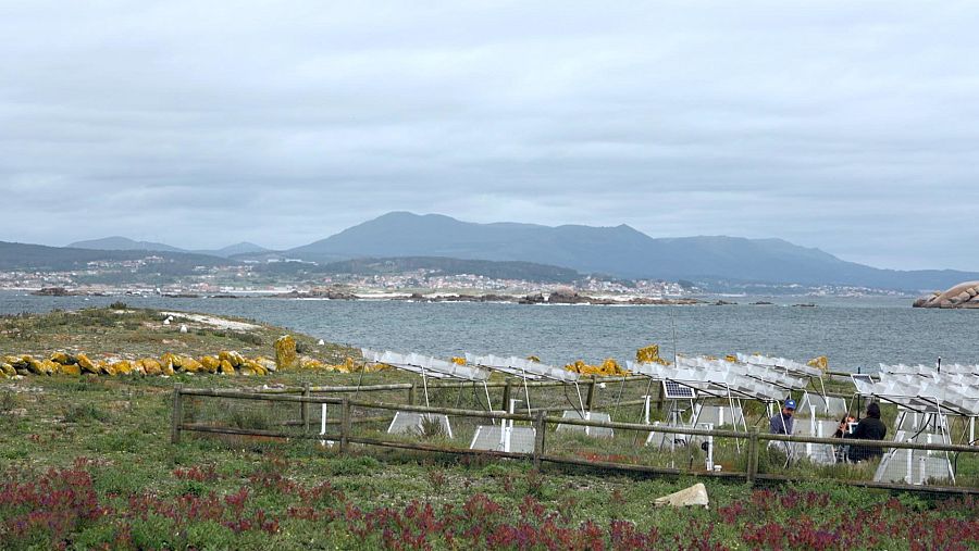 Estudio Salvora