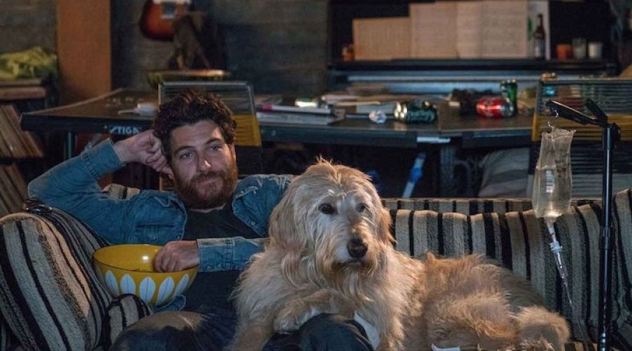 "I love dogs" es una película donde cinco historias tienen algo en común: un perro