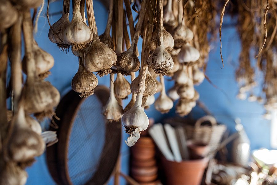 Ristras de ajos colgadas