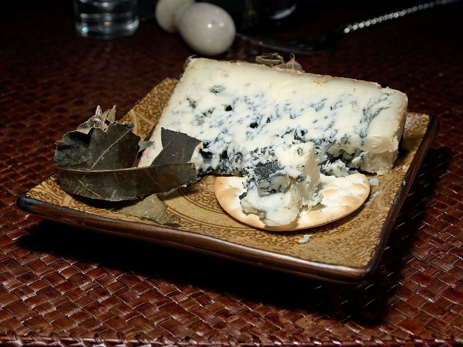 moho queso cabrales