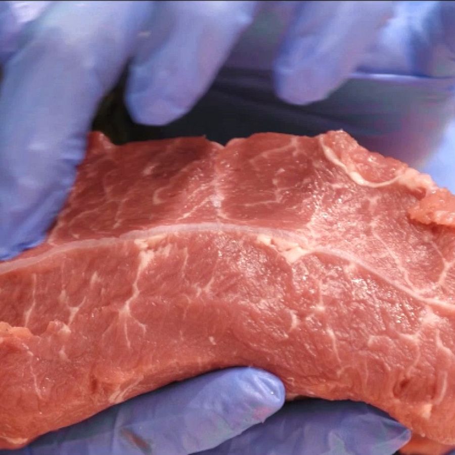 ¿Qué carne es mejor para guisar?