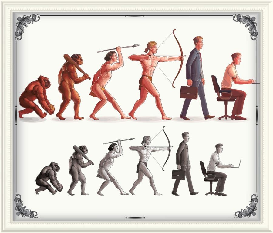 ¿Cómo ha cambiado el rostro en millones de años de evolución? 