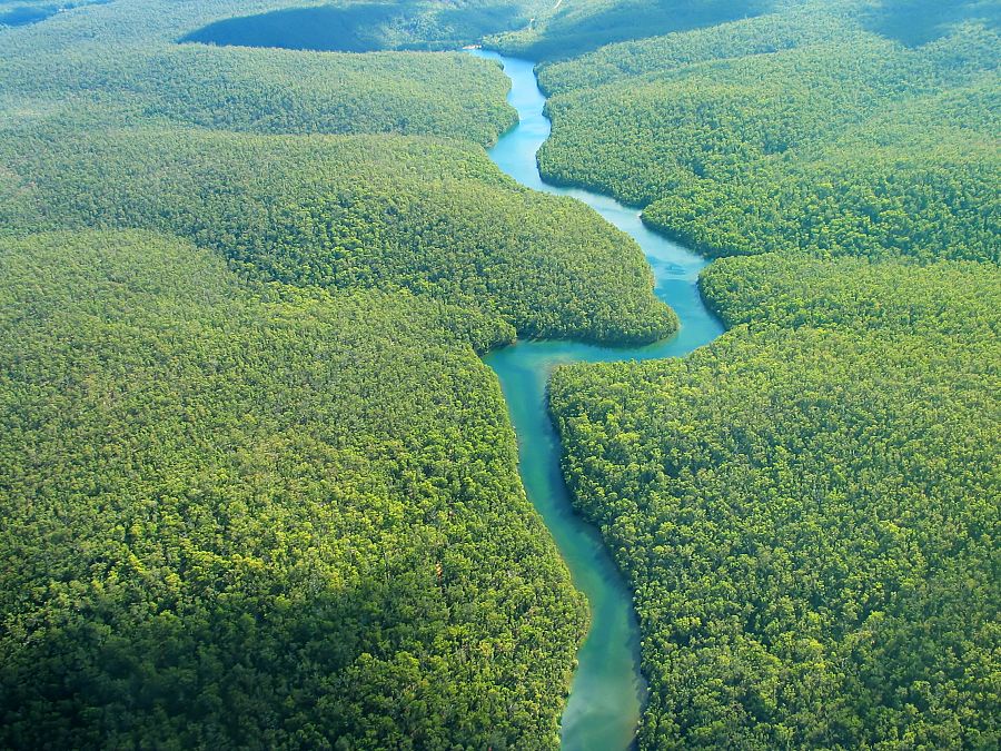 Imagen de archivo del río Amazonas