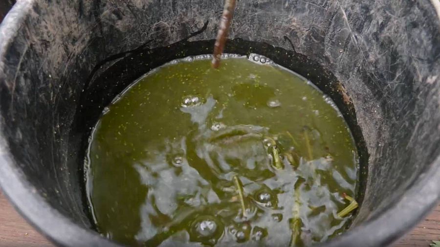 Remedio con ortigas