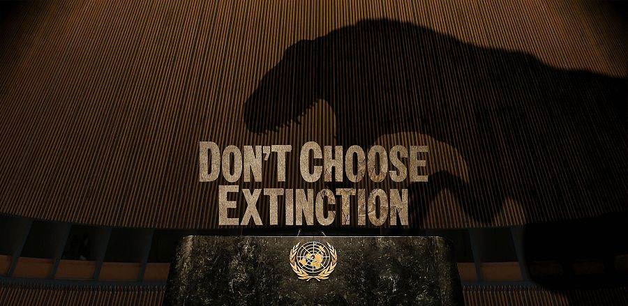 Don't choose extinction, una campaña de ACTIVISTA (Los Ángeles) para PNUD