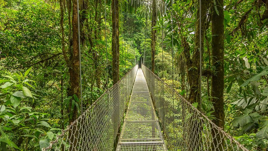 Costa Rica es una de las reservas naturales mejor conservadas del planeta