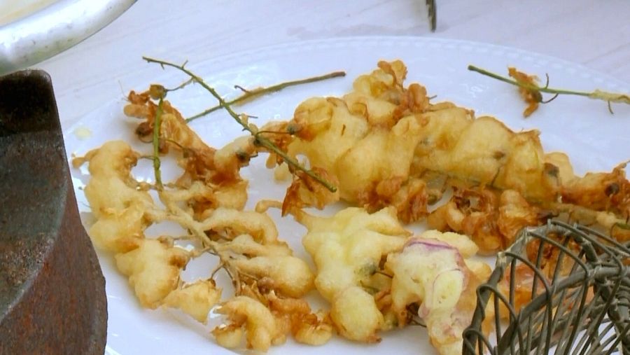 Buñuelos de acacia