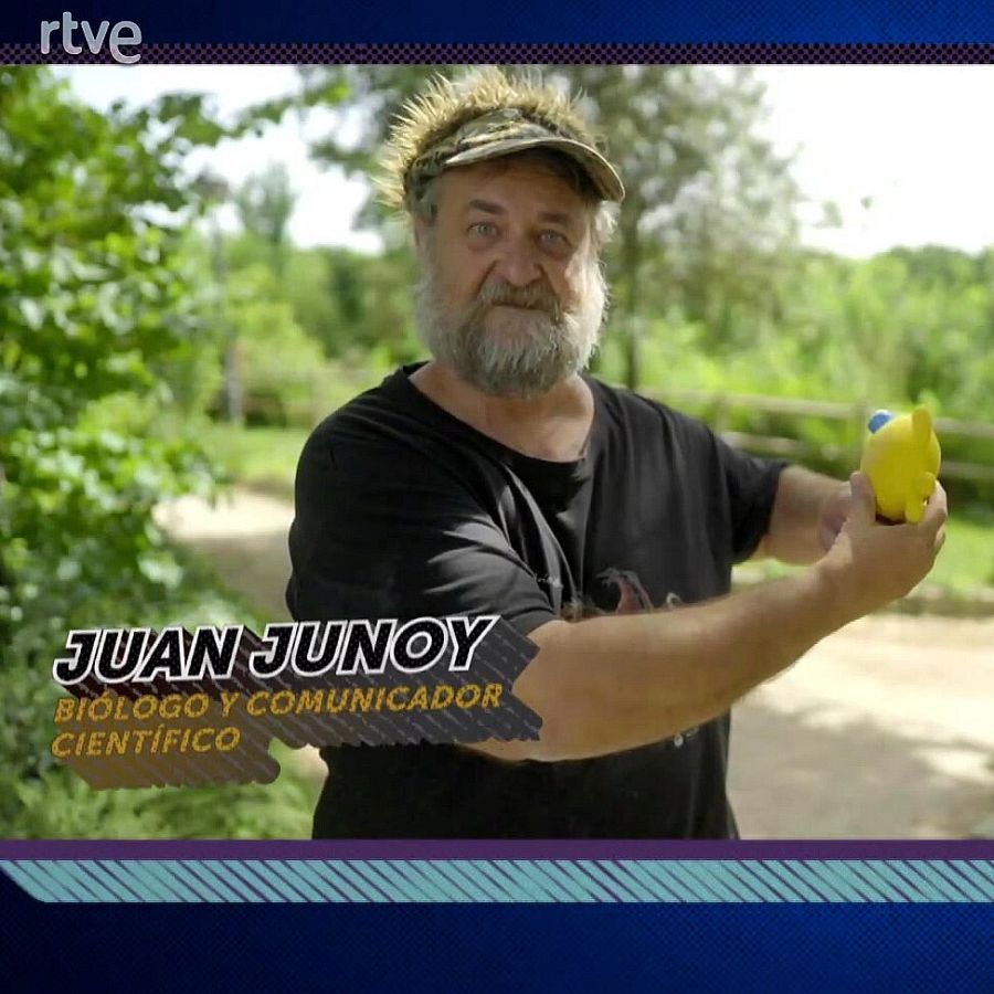 Juan Junoy
