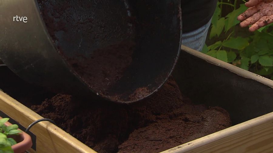 Barreja la fibra de coco i l'humus de cuc