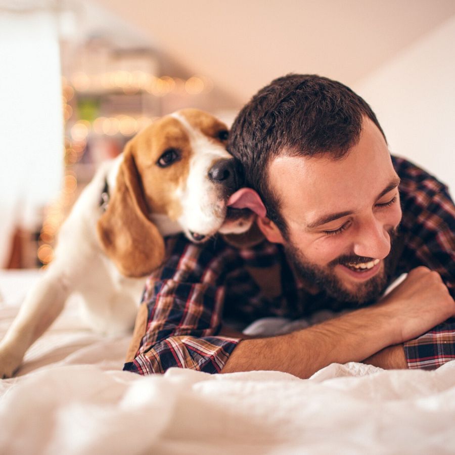 Perro lame a su dueño.