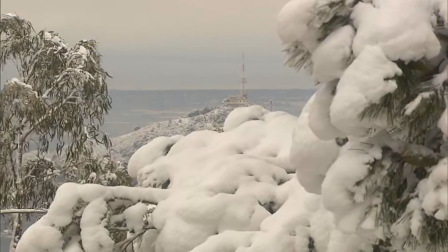 El color blanc de la neu ha estat present a la muntanya de Collserola